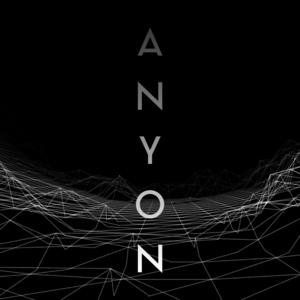 anyon