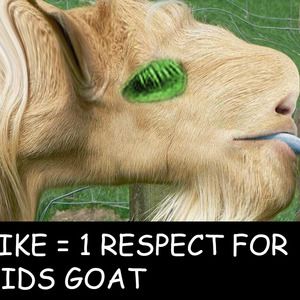 bigmike4421