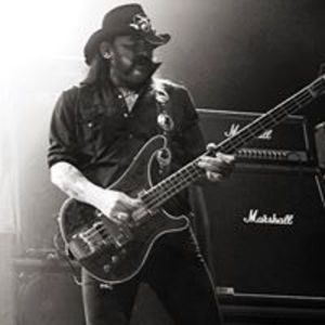 nikola_pavlovic