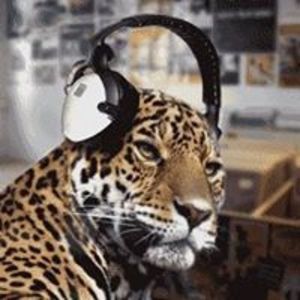 earthside_mixlab